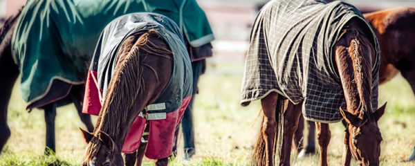 couverture cheval