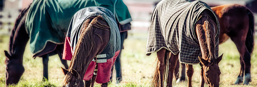 couverture cheval