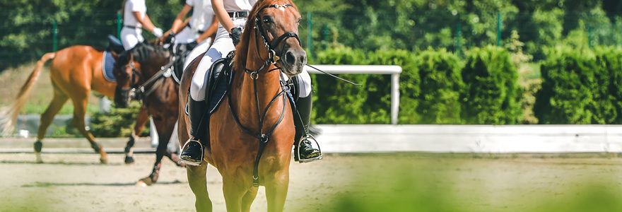 colonie d'équitation